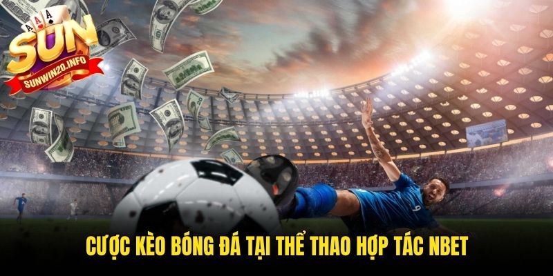 Cược kèo bóng đá tại thể thao hợp tác Nbet