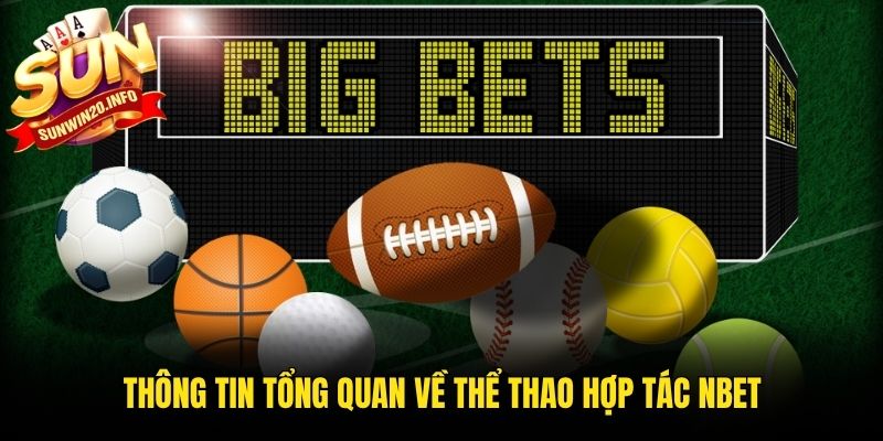 Thông tin tổng quan về thể thao hợp tác Nbet